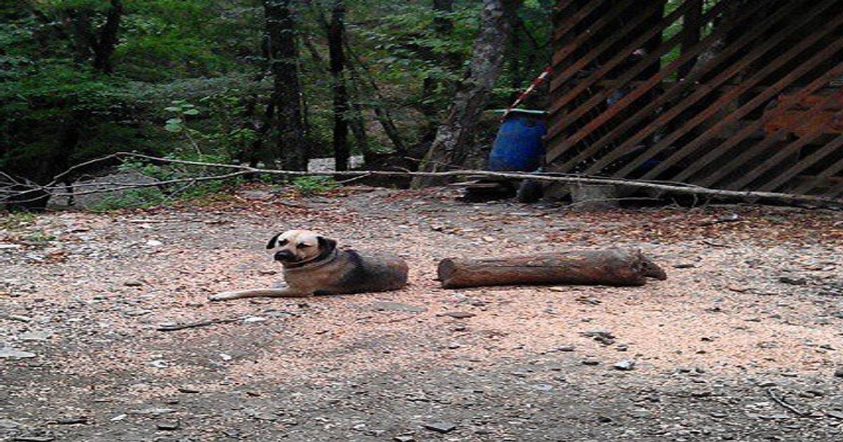 Confusing Pictures: सुपर कंफ़्यूज़िंग हैं ये 12 तस्वीरें, इन्हें देख कर आंखें भी माफ़ी मांगती घूमेंगी