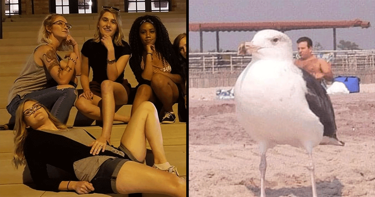 Confusing Pics: ग़ज़ब टोपीबाज़ हैं ये 12 तस्वीरें, आंखों के साथ दिमाग़ को भी झटका दे जाएंगी