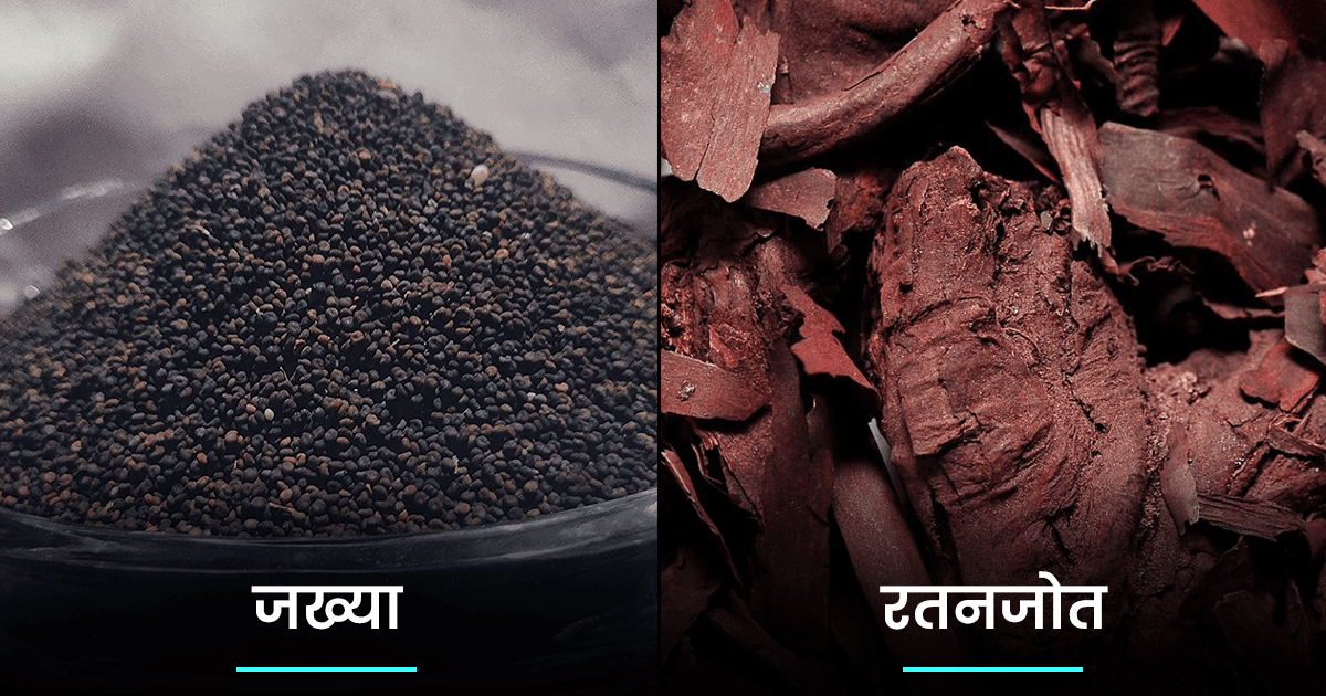 खाने का ज़ायका बढ़ाने वाले वो 10 मसाले, जिनके बारे में अधिकांश भारतीयों को पता नहीं होगा