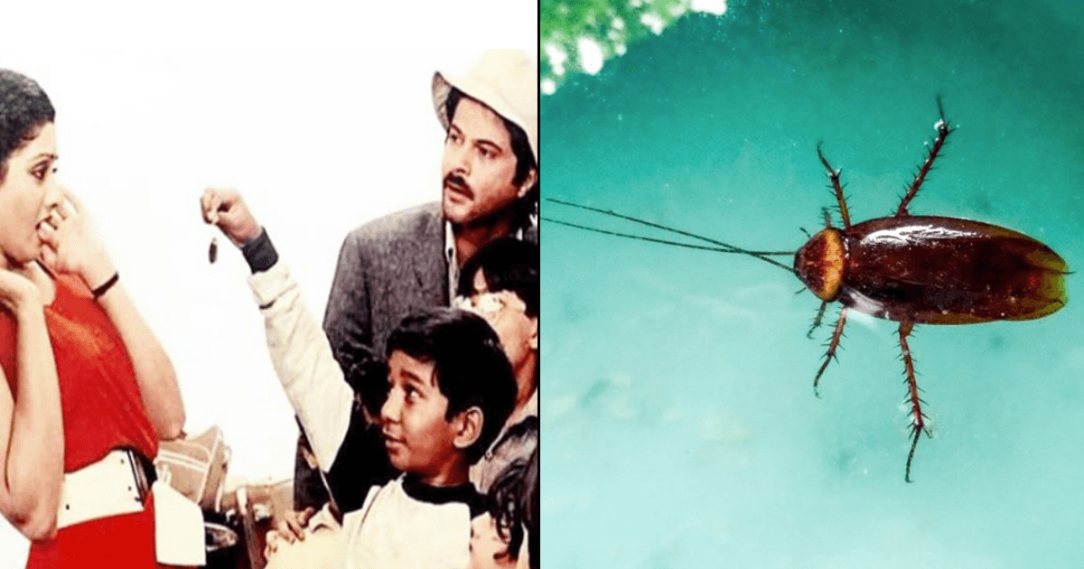 क़िस्सा: फ़िल्म Mr. India के एक सीन का, जब श्रीदेवी के कारण कॉकरोच को पिलानी पड़ी थी Old Monk