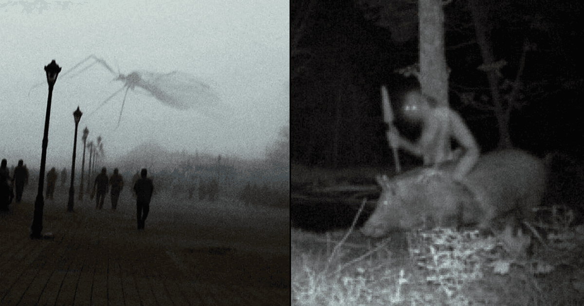 इन 15 फ़ोटोज़ में मौजूद सामान्य चीज़ें पहली नज़र में डरावना एहसास करा सकती हैं, ध्यान से देखें