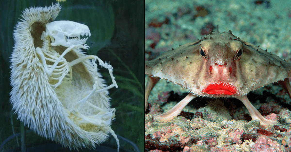 हैरतअंगेज़ कुदरत की वो 12 तस्वीरें, जिन्हें देखना किसी जादूई दुनिया में क़दम रखने जैसा है