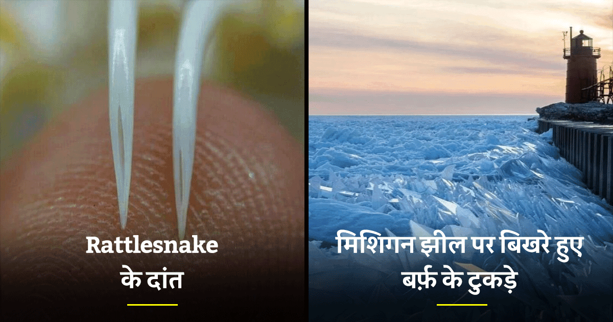 प्रकृति किस कदर अद्भुत नज़ारों से आपको हैरान कर सकती है, इन 16 Photos के ज़रिये देख लीजिए