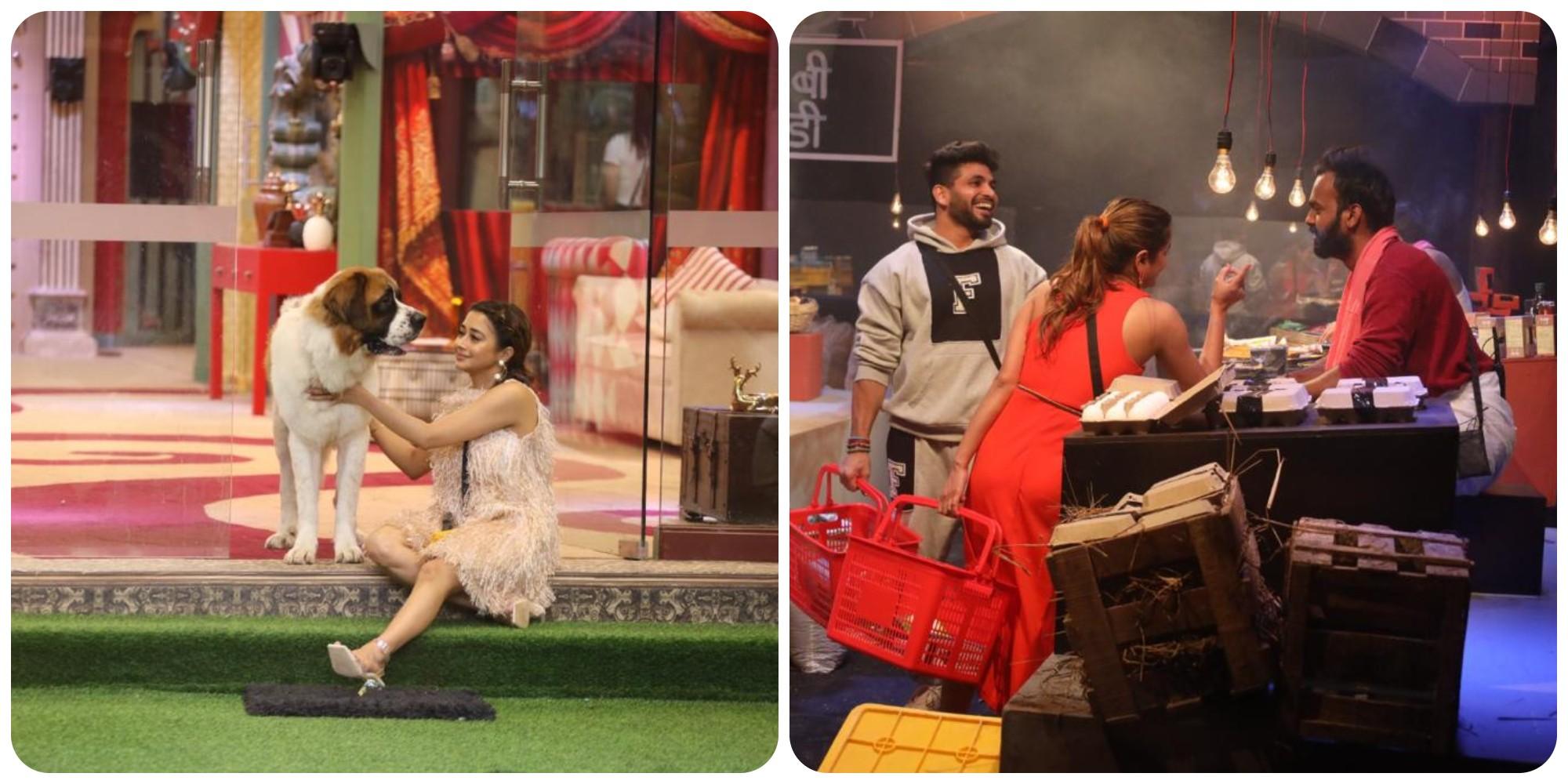 बिग-बॉस 16: Day 87, Bigg Boss मंडी ने चढ़ाया घर का पारा और क्या-क्या हुआ 7 Highlights में जानिए