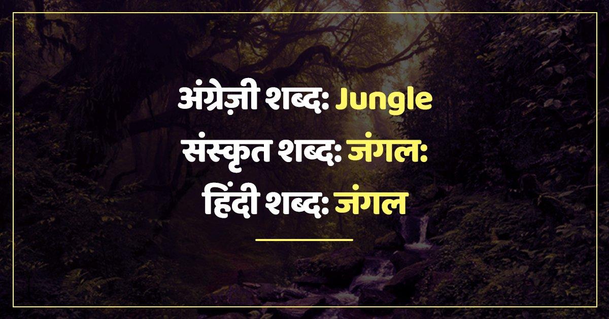 जिन 10 अंग्रेज़ी के शब्दों को रोज़मर्रा में इस्तेमाल करते हो, वो असल में संस्कृत भाषा की देन हैं