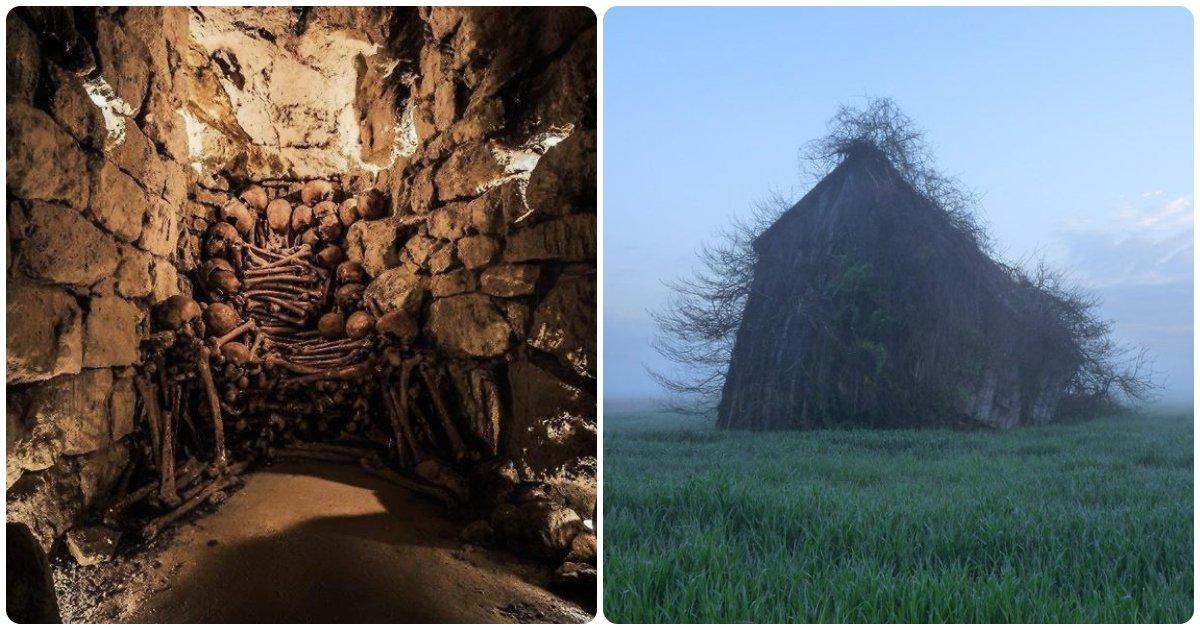 इन 19 बेहद भयानक तस्वीरों को देख कर अच्छे-अच्छों की आंखों में चुभन पैदा होने लगेगी