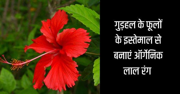 बाज़ार में मिलने वाले हानिकारक रंगों से छुटकारा पाना चाहते हैं, तो घर पर बनायें ये 7 हर्बल रंग