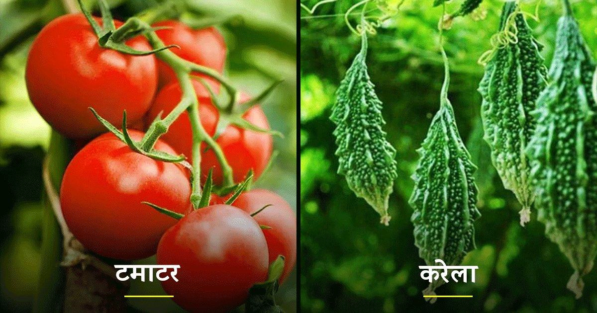 Benefits Of Summer Vegetables: टमाटर से लेकर करेले तक, गर्मी में इन 10 सब्ज़ियों को खाएं और हेल्दी रहें