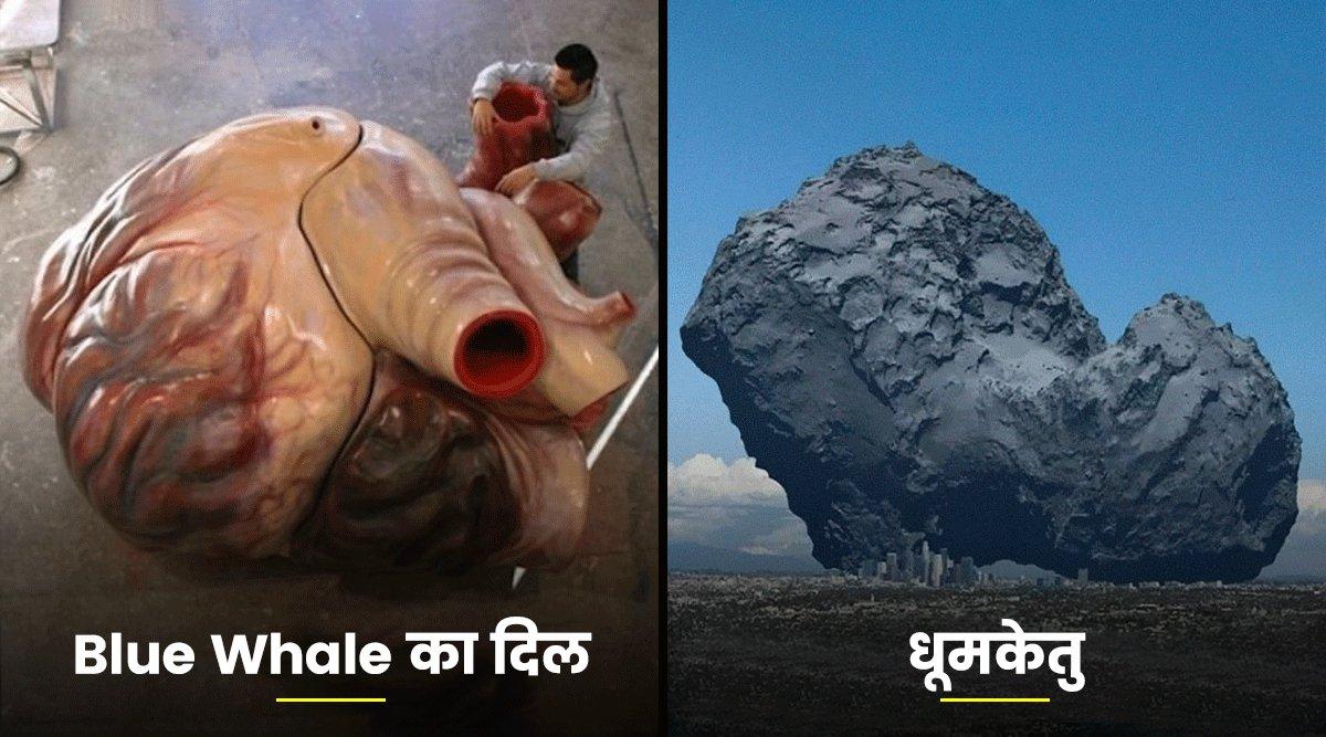 दुनिया की इन 20 विशालकाय चीज़ों के आगे हर चीज़ छोटी लगने लगेगी