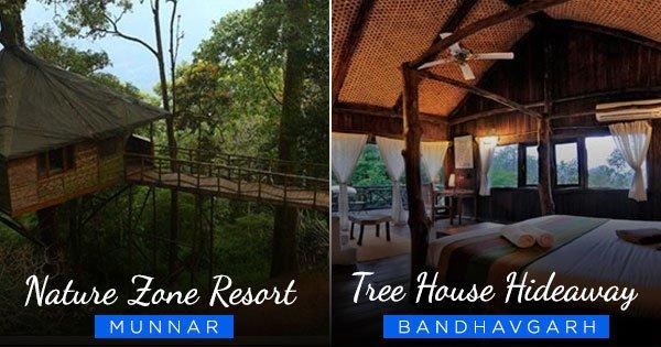 चिड़ियों की तरह घोसलों में रहने का मन हो तो इन ट्री हाउसेज में ज़रूर रुकिए. ऐसा फ़न कहीं नहीं