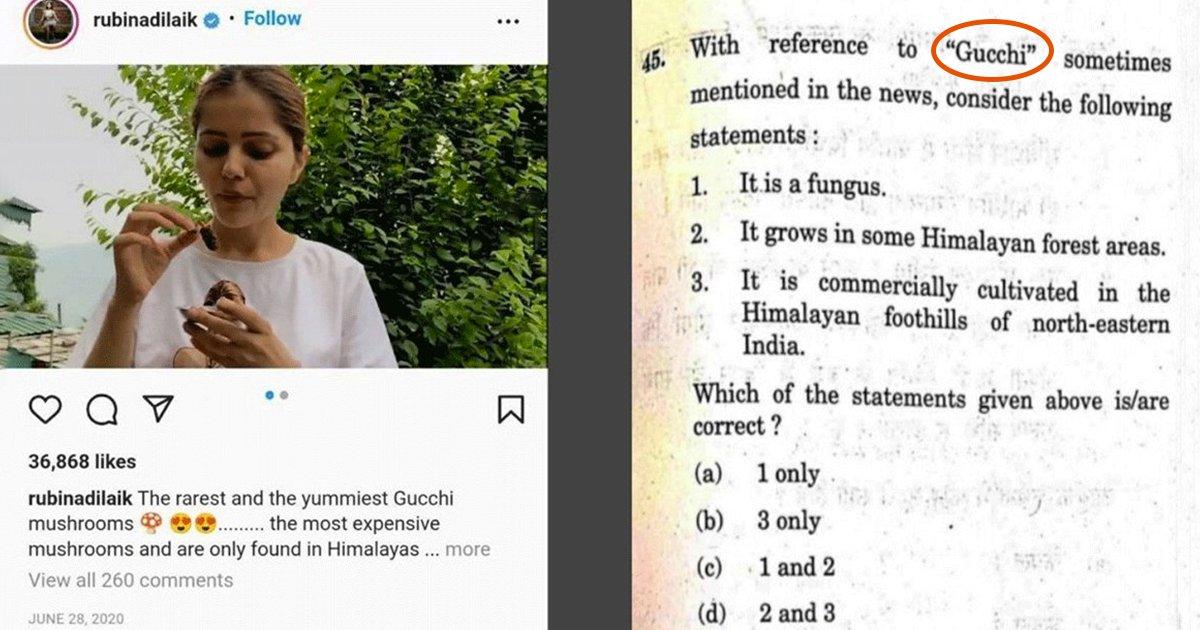 UPSC Exam में आया ‘Gucchi’ से जुड़ा सवाल, लोग कह रहे हैं रुबीना दिलैक को थैंक्स