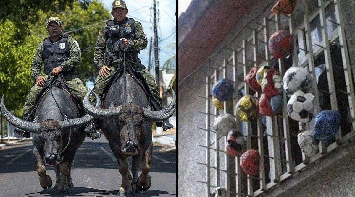 ब्राज़ील की ये 25 तस्वीरें बता रहीं हैं कि वो दुनिया के सबसे अतरंगी देशों से भी 10 क़दम आगे है