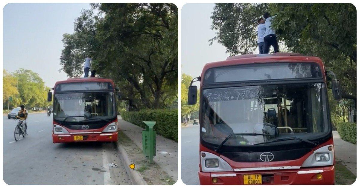 Viral Video: बस पर चढ़ कर जामुन तोड़ते DTC ड्राइवर्स से क्या कहेंगे? ‘बस’ करो भाई कितना तोड़ोगे!