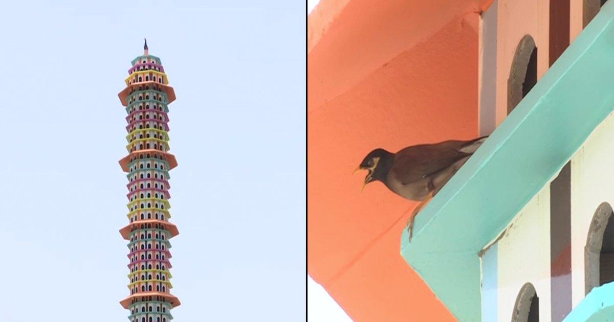 नेक पहल, तपती गर्मी में जयपुर के 6 मंज़िला आशियाने में आराम फरमाएंगे पक्षी, मिलेगा दाना-पानी भी