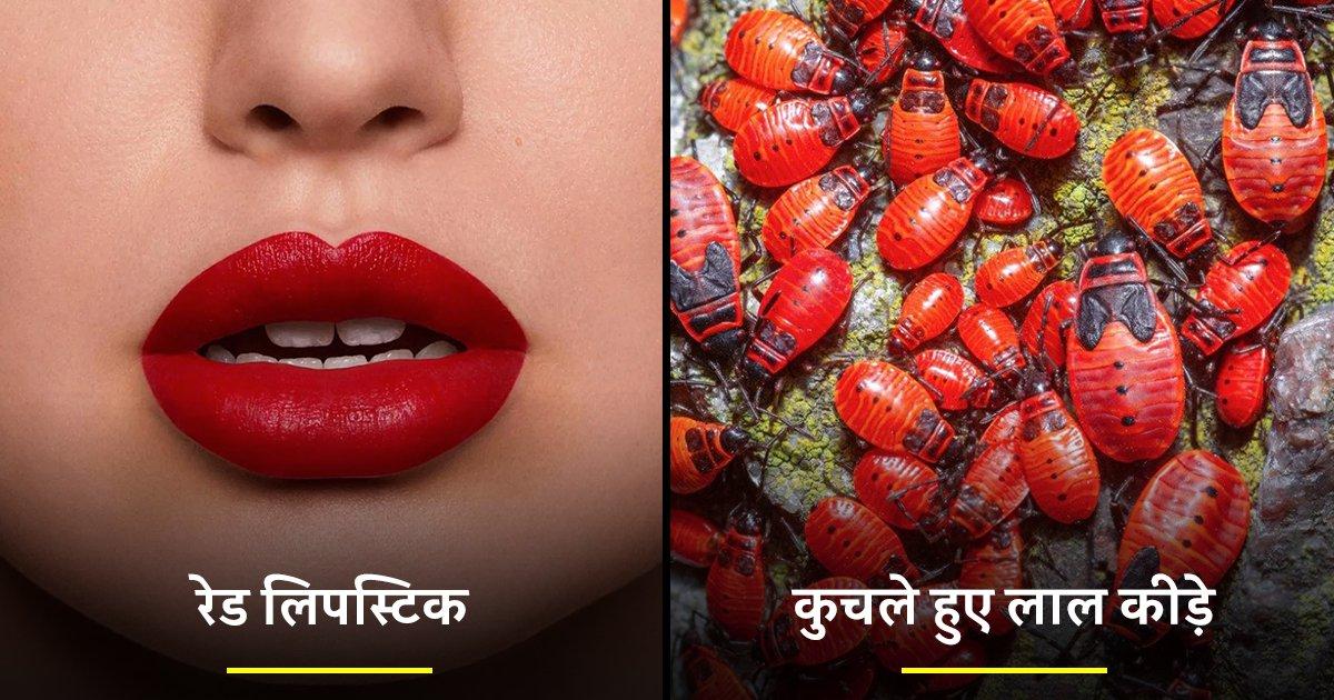 जिन ब्यूटी प्रोडक्ट्स को बड़े चाव से लगाते हो, उनमें इस्तेमाल होने वाली ये 10 चीज़ें उतनी ही घिनौनी हैं