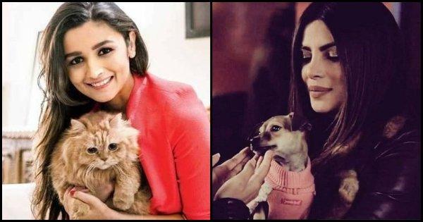 पॉपुलैरिटी के मामले में सोशल मीडिया पर इन 7 Celebrities से भी ज़्यादा फ़ेमस हैं उनके Cute Pets