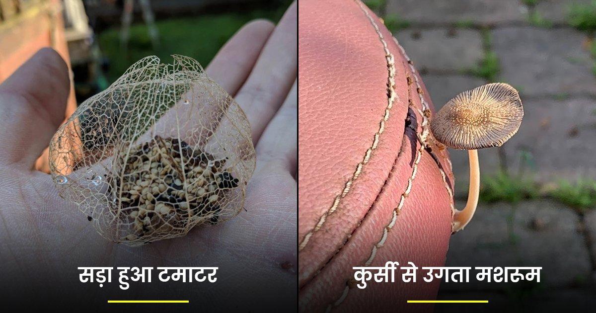 प्रकृति अपने कारनामों से हैरान करने का मौका नहीं गंवाती, ये 15 तस्वीरें इस बात का सुबूत हैं