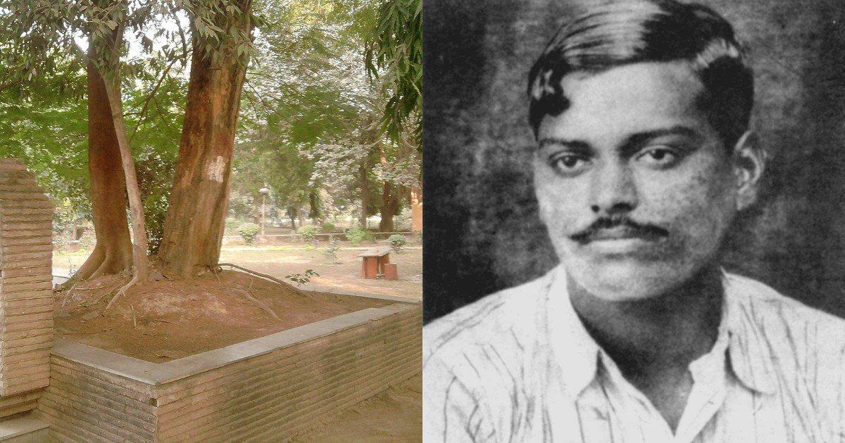 जिस पेड़ के नीचे शहीद हुए थे चंद्रशेखर आज़ाद, जानिए आख़िर अंग्रेज़ों ने उसे क्यों कटवा दिया था