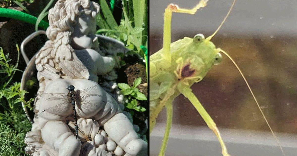 लगता है मज़ाक के मूड में थे ये Wildlife फ़ोटोग्राफ़र्स, इनकी 14 मज़ाकिया तस्वीरें यही बता रही हैं