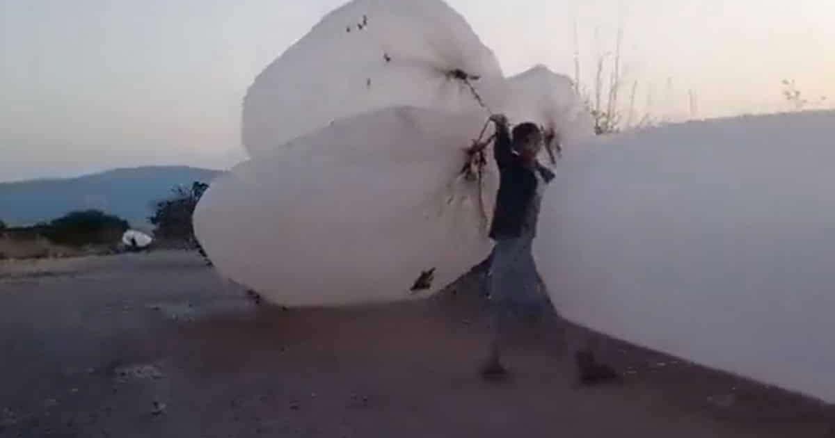 प्लास्टिक थैलियों में LPG भरवा रहे पाकिस्तानी, वीडियो देख कर दिमाग़ चकरा जाएगा