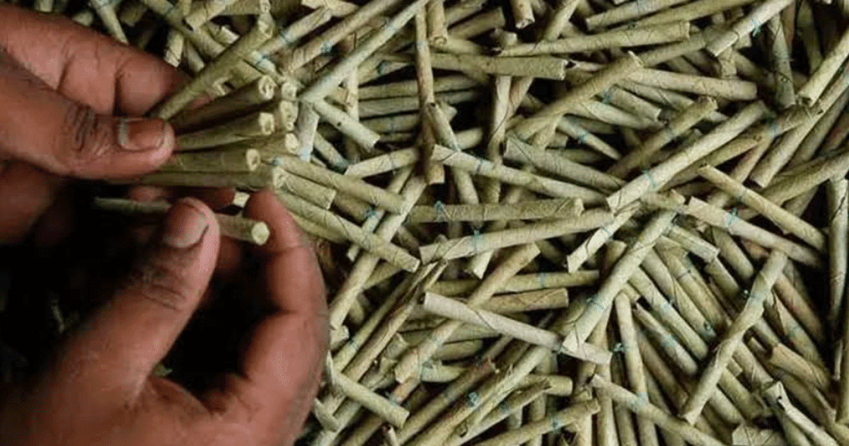 जानिए सिगरेट-बीड़ी वाली बीड़ी को इंग्लिश में क्या कहते हैं और इनको कैसे बनाया जाता है