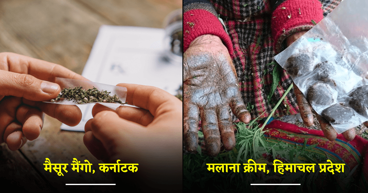 मैसूर मैंगो से लेकर मलाना क्रीम तक, दुनियाभर के नशेड़ियों के फ़ेवरेट हैं ये 13 भारतीय माल