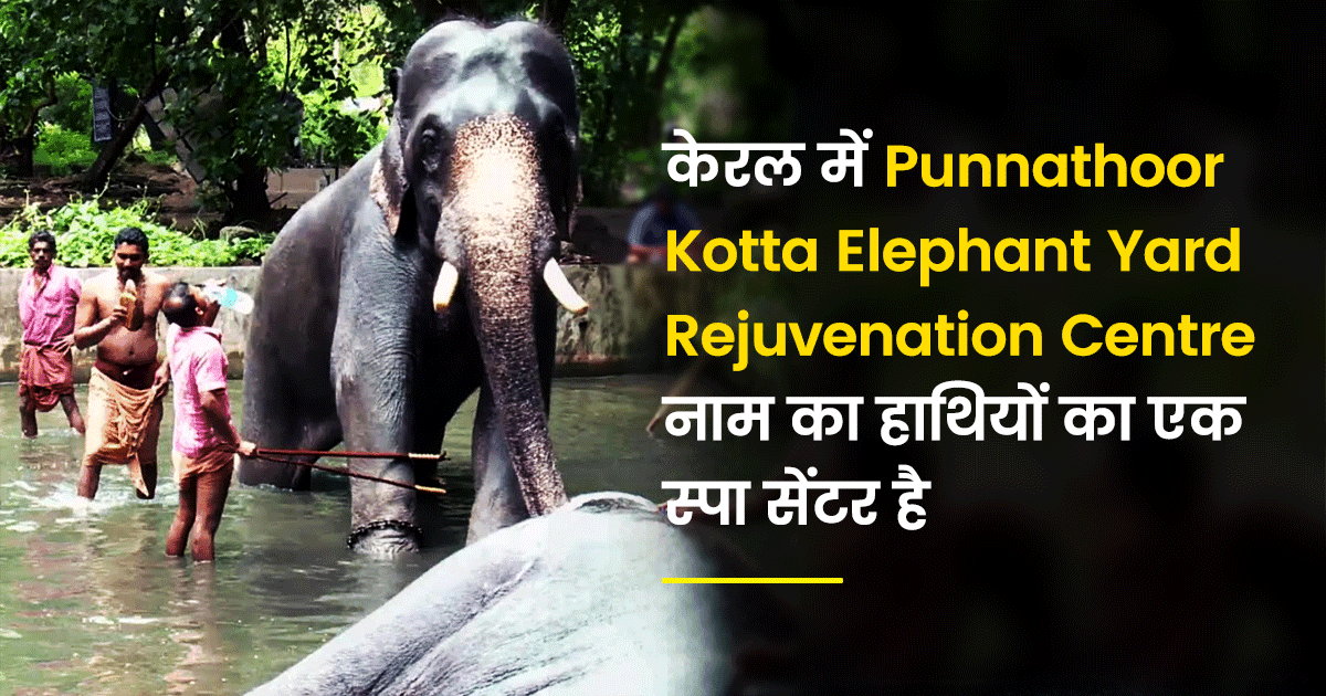 भारत के बारे में ये 25 Interesting Facts जान लो, जो देश की पहचान हैं