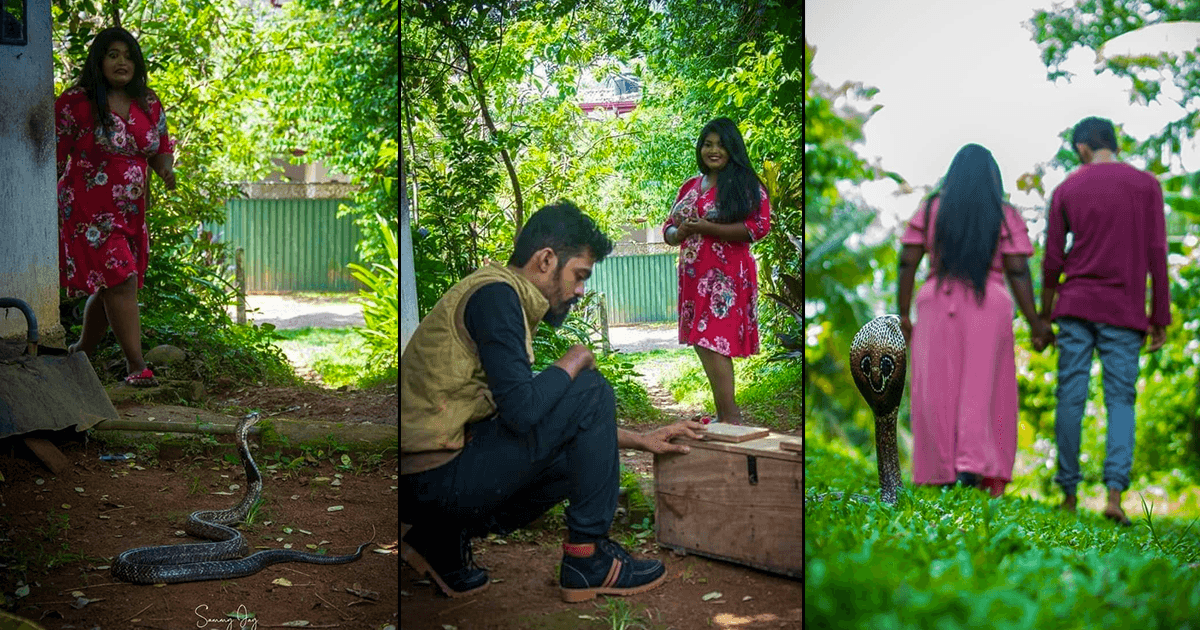 सांप के साथ प्री-वेडिंग फ़ोटोशूट का क़िस्सा है ग़ज़ब, इनकी लव स्टोरी सुन नागिन डांस करने लगोगे आप