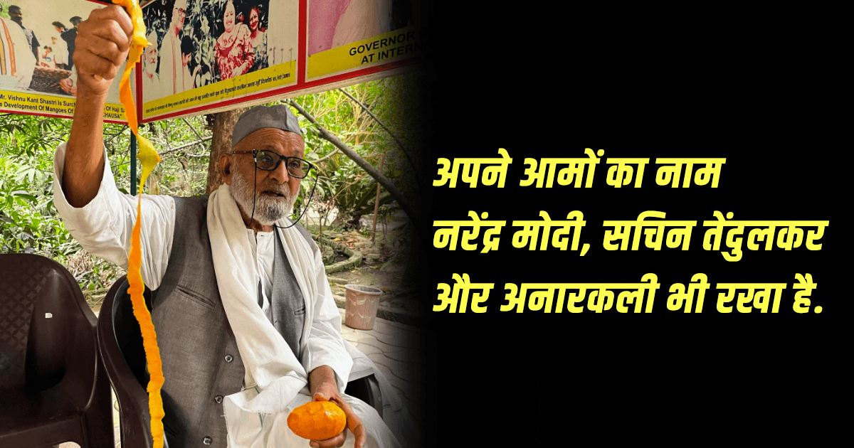 Mango Man: ‘मैंगो मैन ऑफ़ इंडिया’ से मिलिए, जिनके पेड़ों पर 300 वैरायटी के रसदार आम फलते हैं