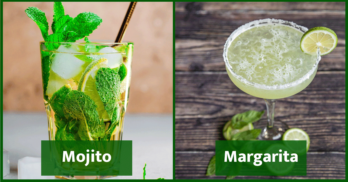 Cocktails For Summers: बहुत आसान है इन 10 Cocktails को घर पर बनाना, गर्मियों के लिए हैं बेस्ट