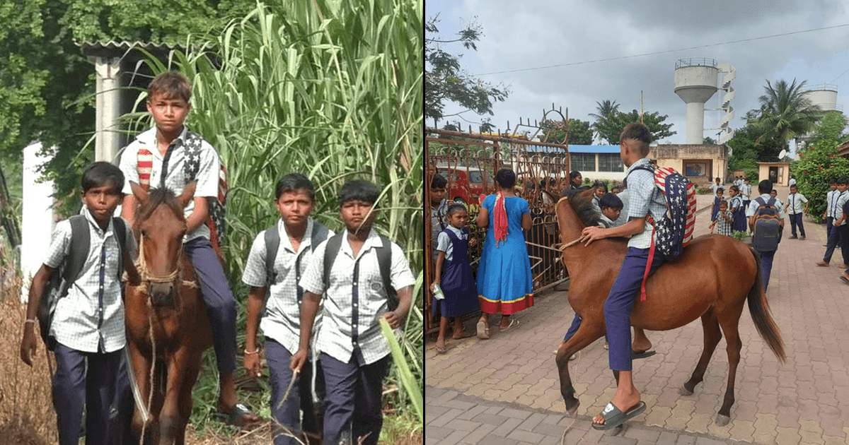 दोस्ती की मिसाल है एक बच्चे और घोड़े की ये जोड़ी, रोज़ाना जिसकी सवारी कर स्कूल जाता है ये बच्चा