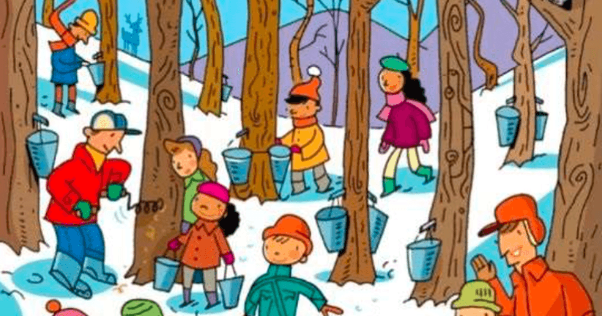 आसान नहीं है तस्वीर में छिपी कार ढूंढना, 100 में से कोई 1 ही कर पाएगा ये कारनामा