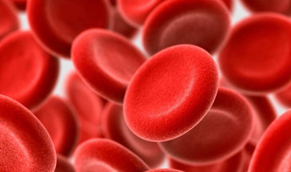 4. नई रक्त कोषिकाएं (Blood Cells) कहां बनते हैं?,[object Object]