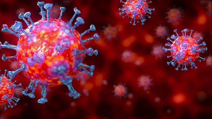 2. कोरोनावायरस मुख्य रूप से शरीर में किस अंग पर हमला करता है? ,[object Object]