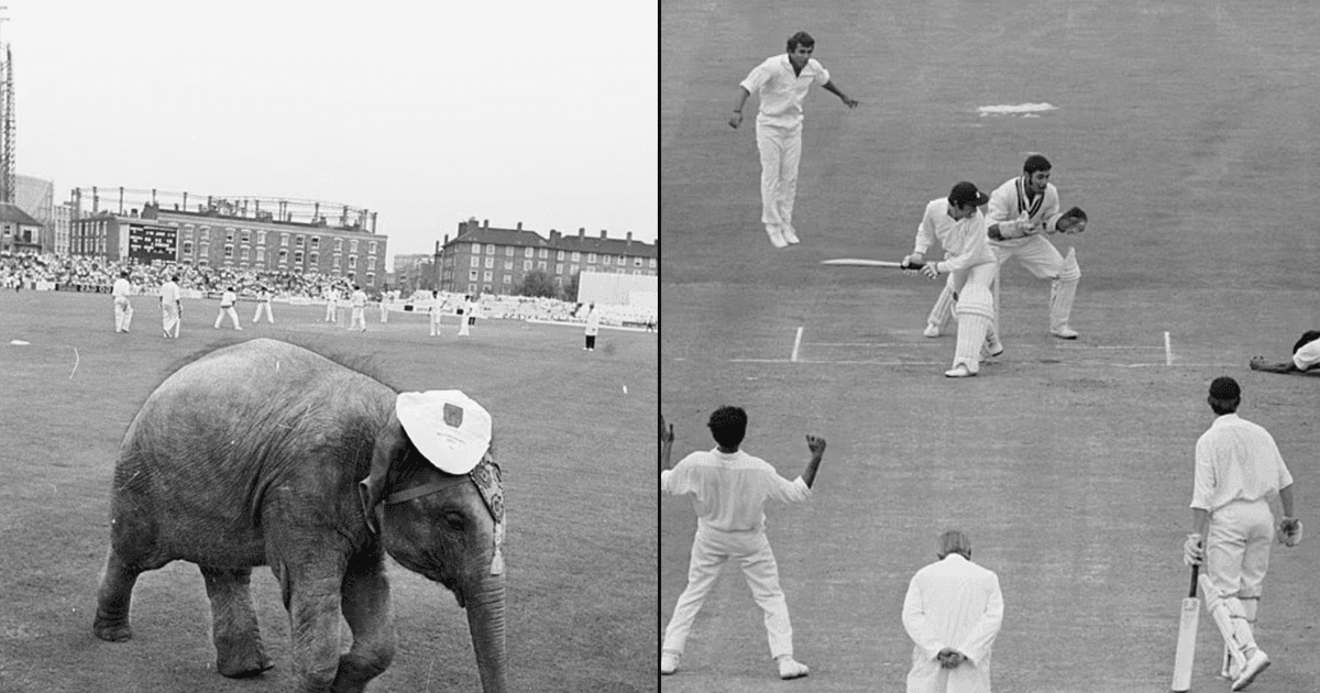 गणेश चतुर्थी और क्रिकेट से जुड़ा वो क़िस्सा, जब भारतीय फ़ैंस इंग्लैंड के मैदान पर ले आये थे हाथी