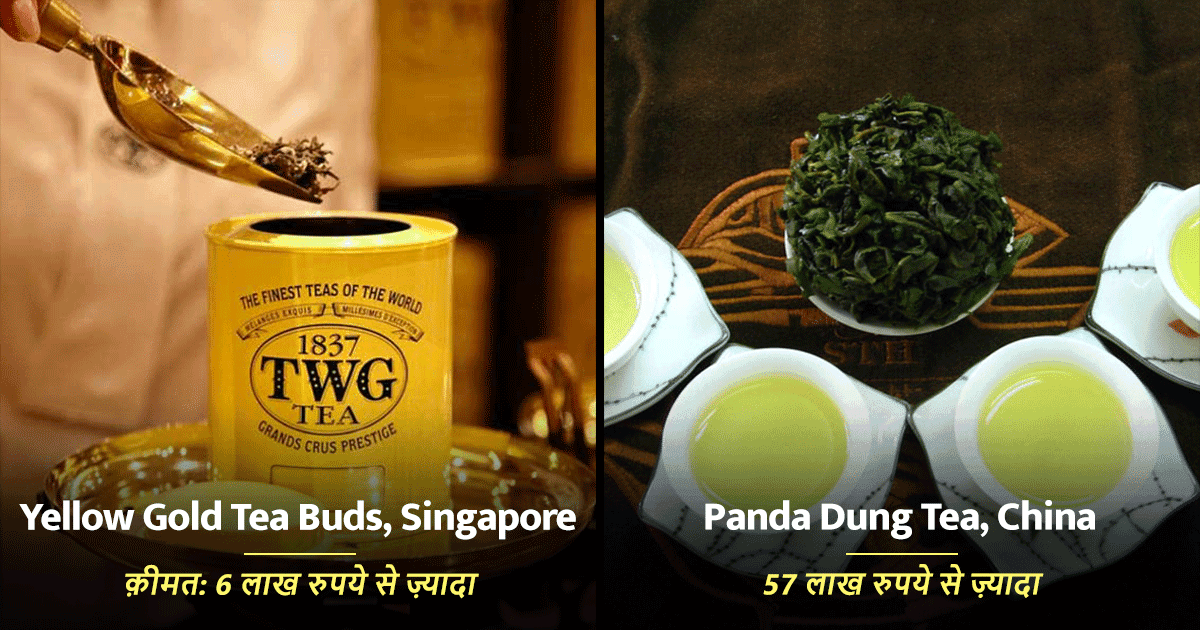 ये हैं दुनिया की 8 सबसे महंगी चाय, जिनका स्वाद और ख़ुशबू लेने से पहले कई बार सोचना पड़ेगा