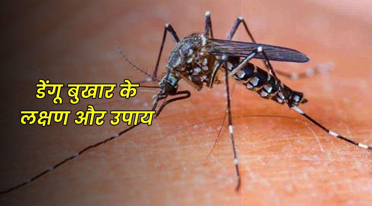 Dengue Fever: क्या हैं डेंगू के कारण और लक्षण? साथ ही जाने इसके इलाज और बचाव से जुडी सभी बातें
