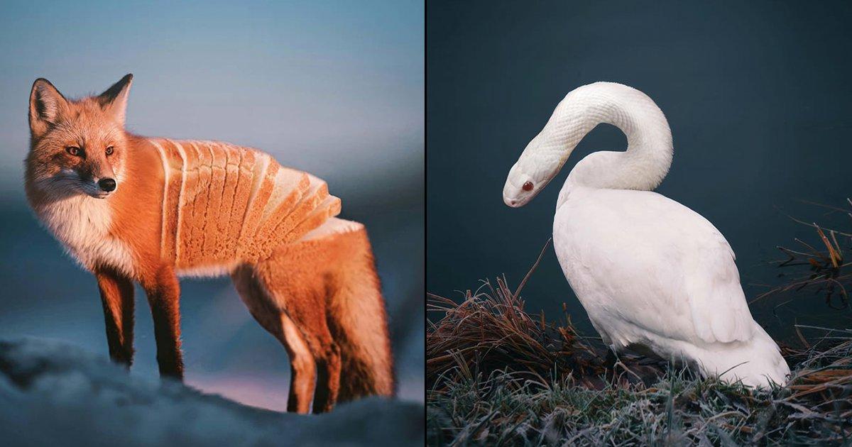 ये 18 Digital Arts दिल खुश कर देंगे, देखिए फूड आइटम्स और जानवरों के कॉम्बिनेशन से बने फ़ोटोज़