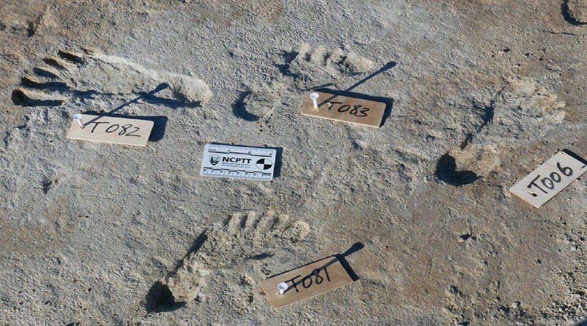 अमेरिका में मिले 23,000 साल पुराने मानव पद चिन्ह, हिम युग से भी पहले के हैं ये प्रमाण