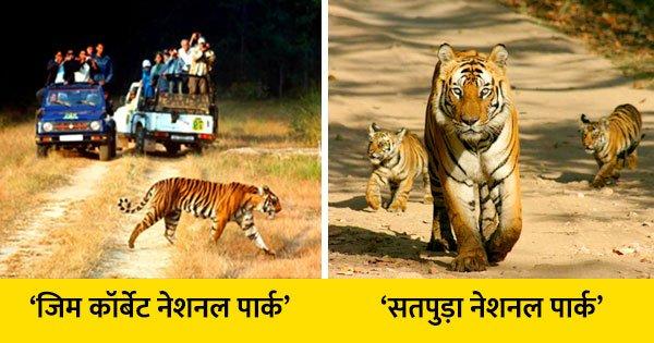 बाघों को टीवी पर देख-देख बोर हो गए हो, तो ज़रा देश के इन 5 बेस्ट Tiger Reserves में घूम आओ