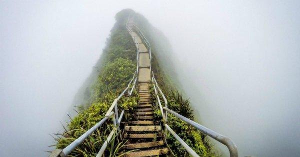 Hawaai में है दुनिया की सबसे खूबसूरत सीढ़ी, ऊपर जाने के लिए बढ़ाने होंगे 4000 कदम
