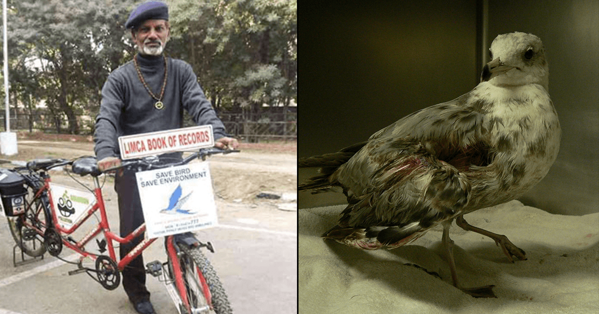 पक्षियों का मसीहा: जो 11 साल से मृत पंछियों का कर रहे हैं अंतिम संस्कार और घायल बर्ड्स का इलाज