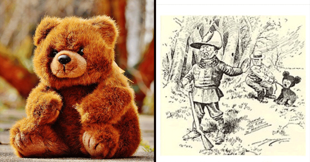 क्या आप जानते हैं Teddy Bear की उत्पत्ति कब और कैसे हुई थी? दिलचस्प है इसका इतिहास