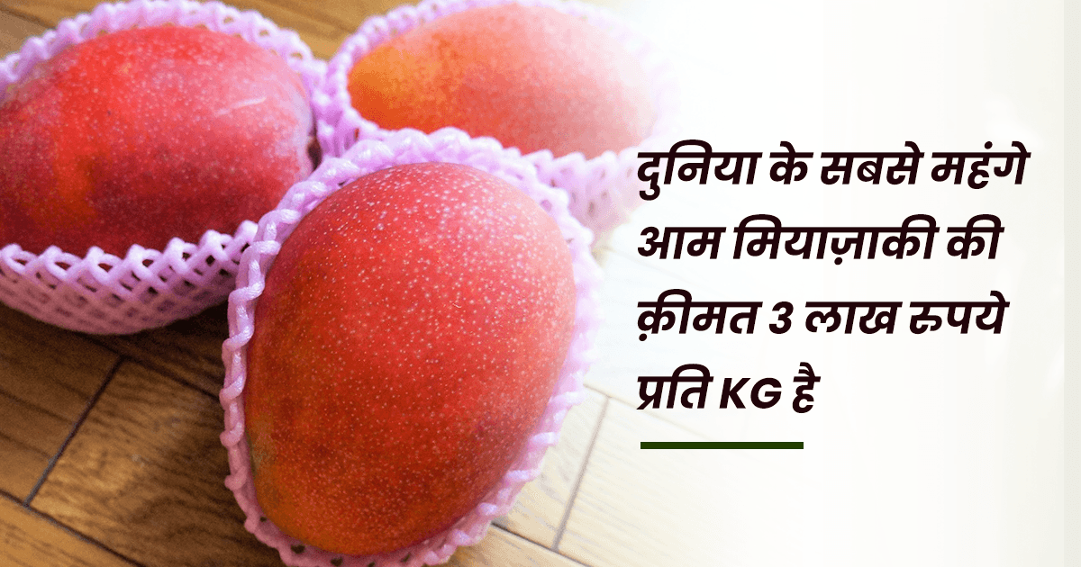 Expensive Mangoes: लंगड़ा-मालदा नहीं ये हैं दुनिया के 7 महंगे आम, जो लाखों रुपए किलो बिकते हैं