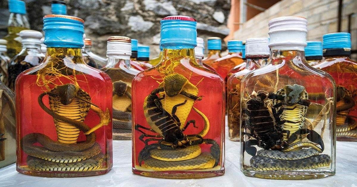 क्या आपको पता है ज़हरीले सांपों से बनी शराब के बारे में, जानिए कहां और क्यों बनती है ‘Snake Wine’